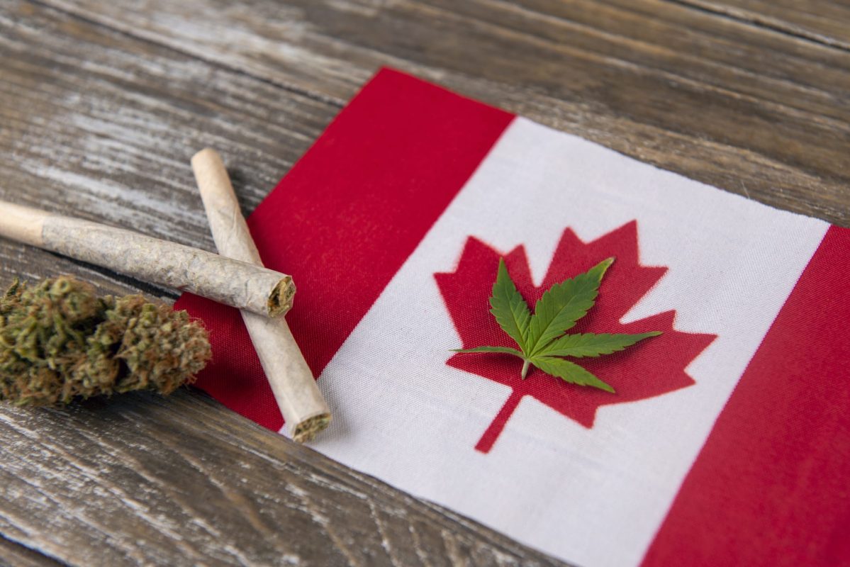 Buying Marijuana in Canada canada-cannabis-bud-joint-weed-pot-marijuana