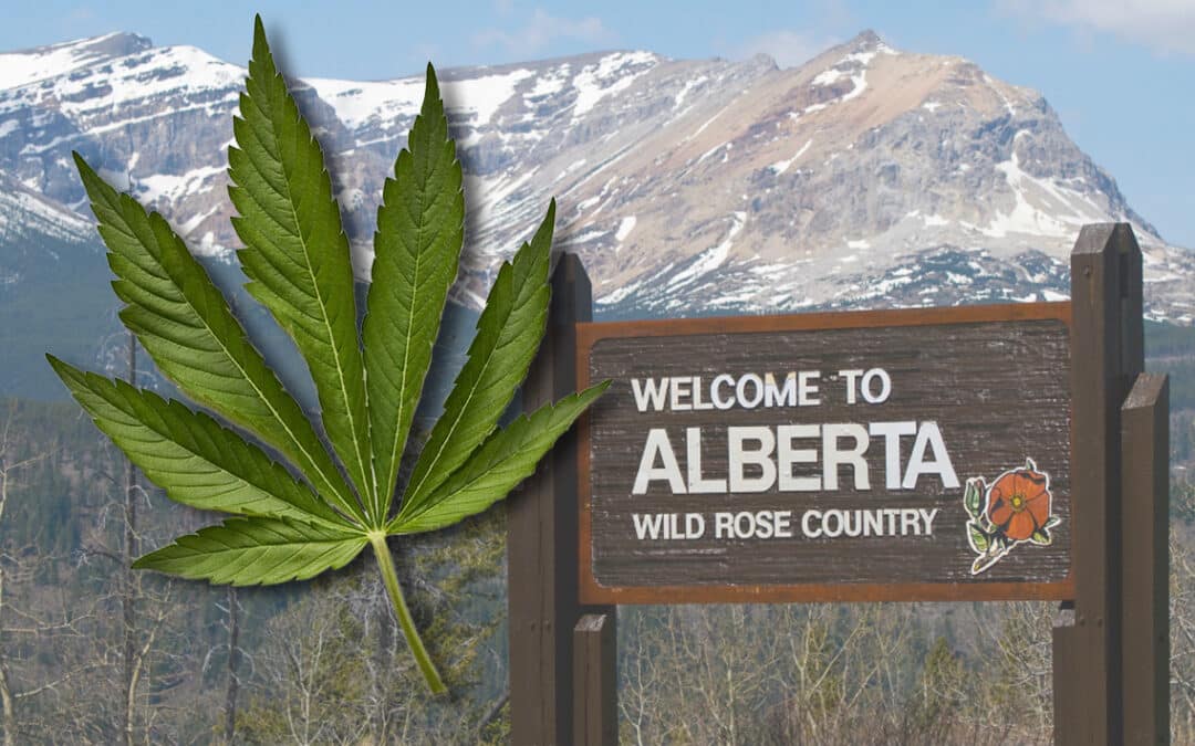 Alberta’s Plan for Cannabis Legalisation