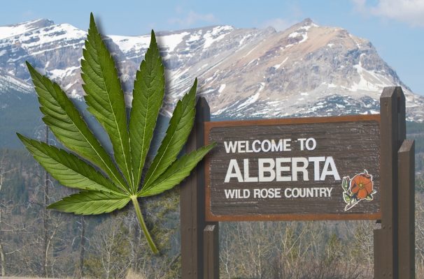 Alberta’s Plan for Cannabis Legalisation
