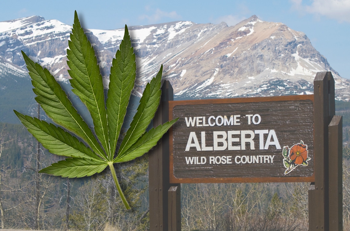 Alberta’s Plan for Cannabis Legalisation Alberta’s Plan for Cannabis Legalisation
