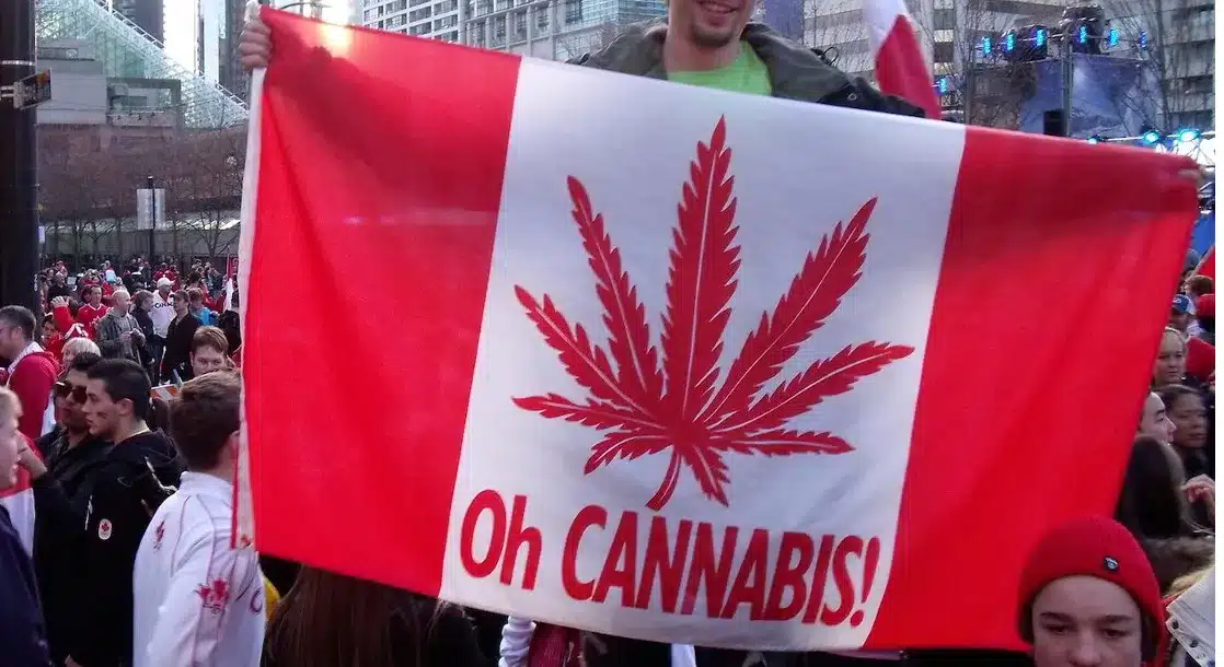 Canadian Cannabis in 2024
