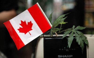 Unveiling the Evolution of Canada’s Cannabis Industry