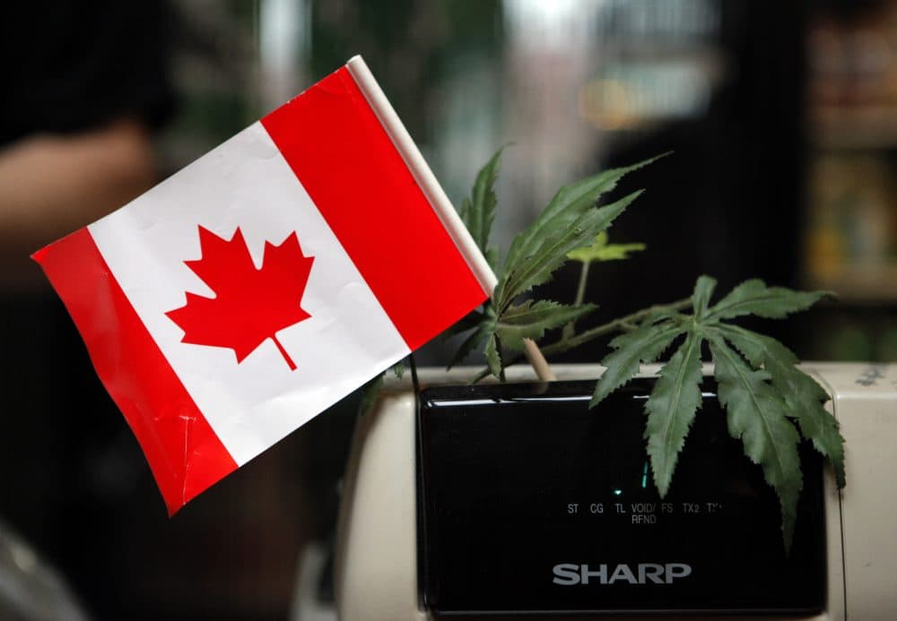 Unveiling the Evolution of Canada's Cannabis Industry