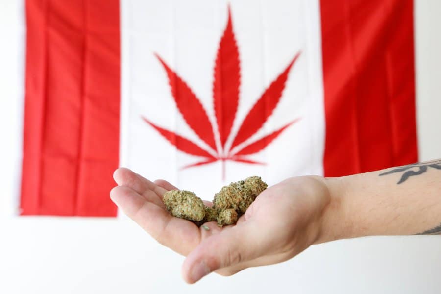 Cannabis Shop Owners Embrace Government's Strategic Initiative to Navigate Cannabis Industry Challenges