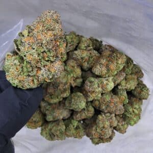 Buy Cannabis and Magic Mushrooms in Canada
