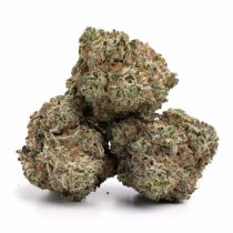 White-Widow-Sale-Canada