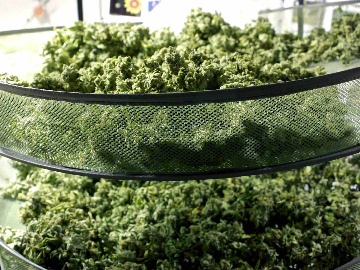 canada weed mail order marijuana