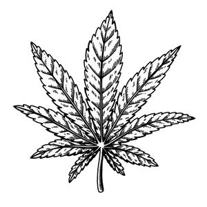 Mastertokes - Homepage indica