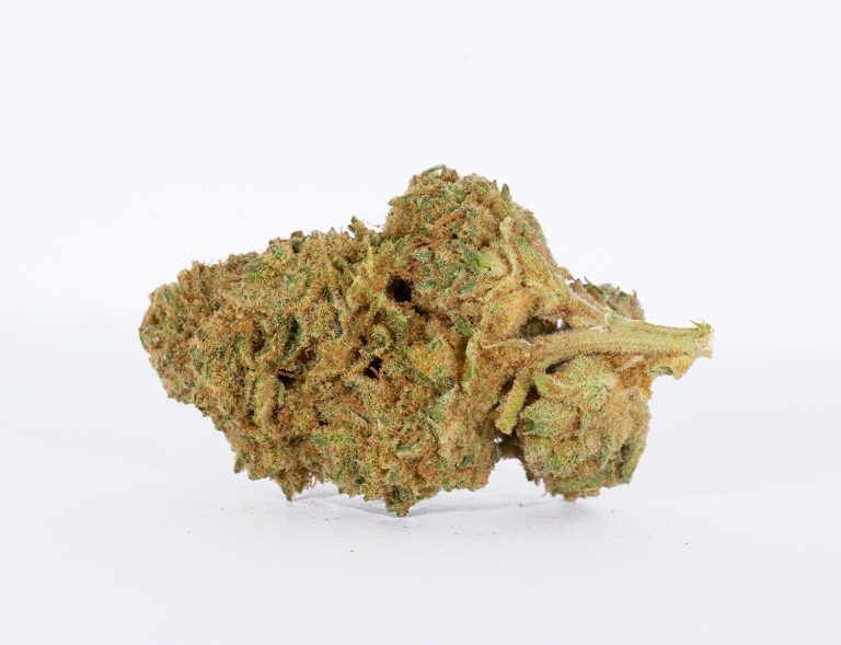 mastertokes hybrid cannabis sativa trainwreck buds buy canada