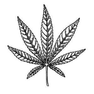 Mastertokes - Homepage mastertokes-hybrid-cannabis