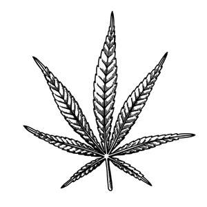 Mastertokes - Homepage sativa