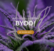 build your own ounce of cannabis with mastertokes, the best cannabis in canada