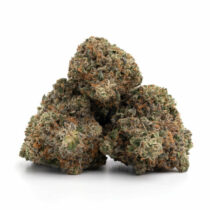 Purple Rockstar Kush