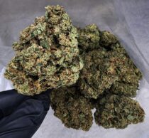 LA Runtz Buy Cannabis and Magic Mushrooms in Canada