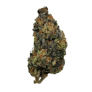 Buy Cannabis and Magic Mushrooms in Canada