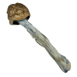 Buy Cannabis and Magic Mushrooms in Canada