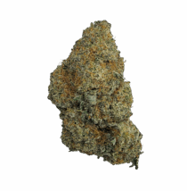 Buy Cannabis and Magic Mushrooms in Canada