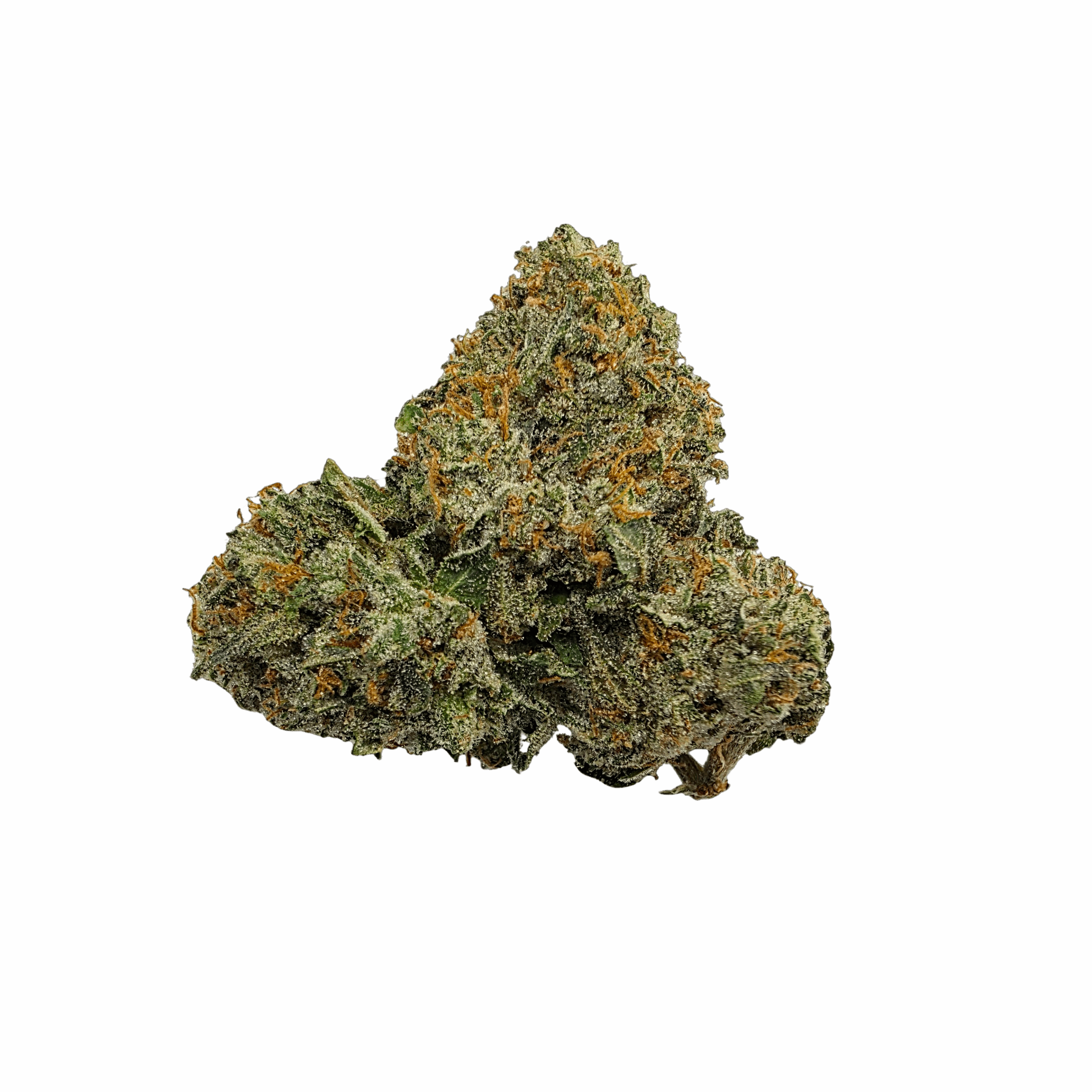 Buy Cannabis and Magic Mushrooms in Canada