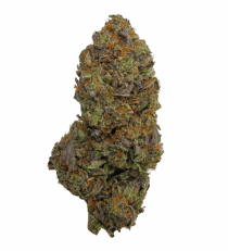 Buy Cannabis and Magic Mushrooms in Canada