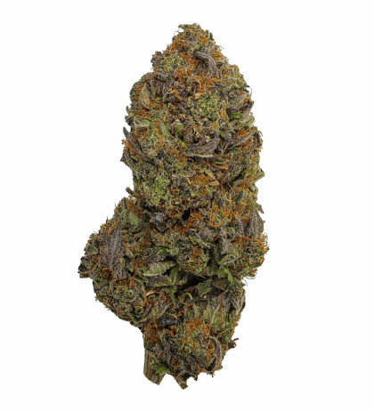 Buy Cannabis and Magic Mushrooms in Canada