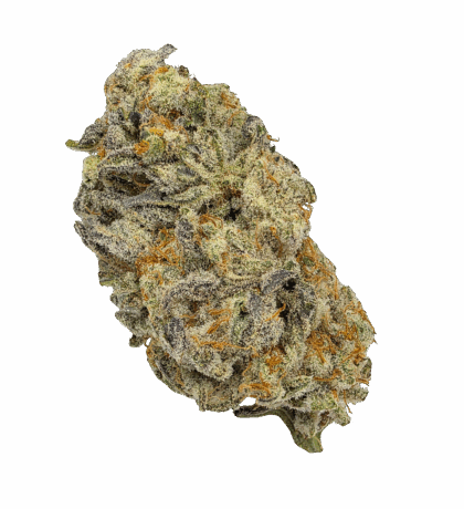 Buy Cannabis and Magic Mushrooms in Canada