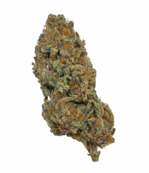 Buy Cannabis and Magic Mushrooms in Canada