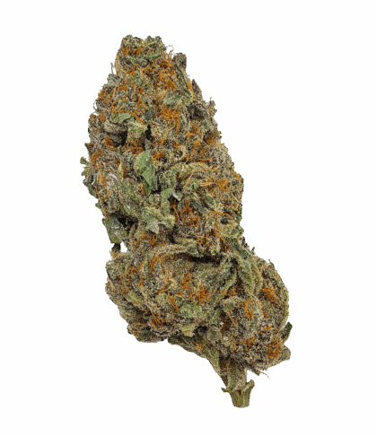 Buy Cannabis and Magic Mushrooms in Canada