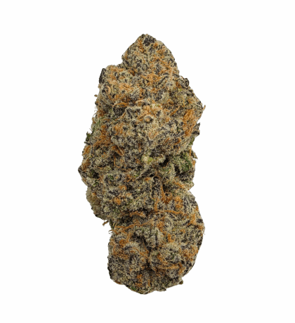 Buy Cannabis and Magic Mushrooms in Canada