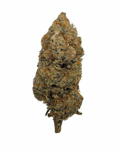 Buy Cannabis and Magic Mushrooms in Canada