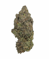 Buy Cannabis and Magic Mushrooms in Canada