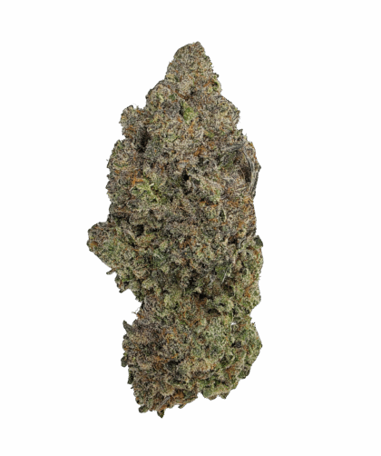 Buy Cannabis and Magic Mushrooms in Canada