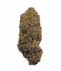 Buy Cannabis and Magic Mushrooms in Canada