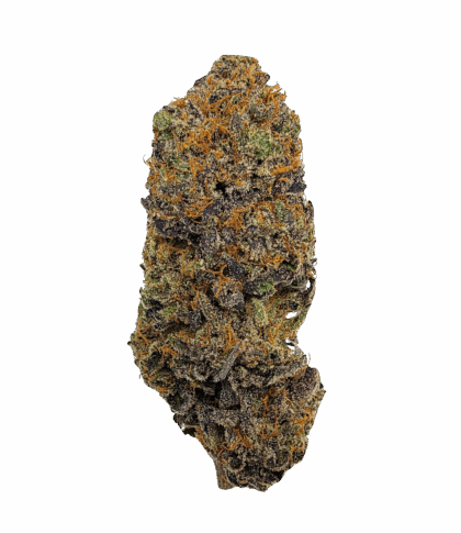 Buy Cannabis and Magic Mushrooms in Canada