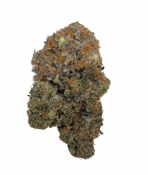 Buy Cannabis and Magic Mushrooms in Canada