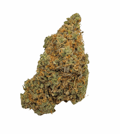 Buy Cannabis and Magic Mushrooms in Canada