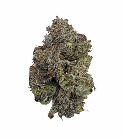 Buy Cannabis and Magic Mushrooms in Canada