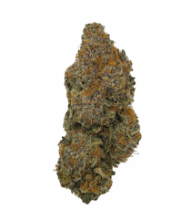 Buy Cannabis and Magic Mushrooms in Canada