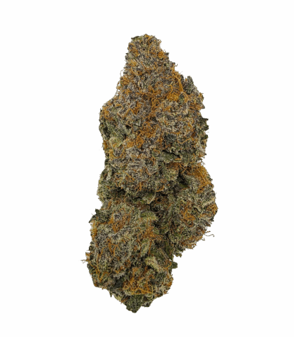 Buy Cannabis and Magic Mushrooms in Canada