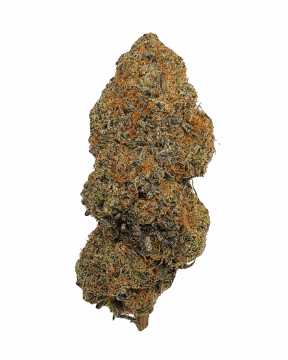 Buy Cannabis and Magic Mushrooms in Canada
