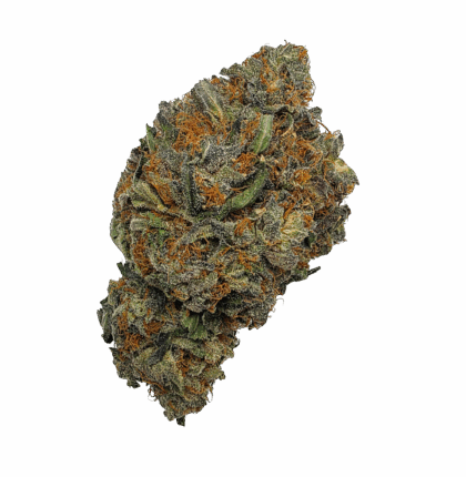 Buy Cannabis and Magic Mushrooms in Canada