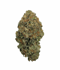 Buy Cannabis and Magic Mushrooms in Canada