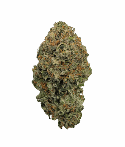 Buy Cannabis and Magic Mushrooms in Canada