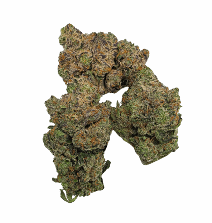 Buy Cannabis and Magic Mushrooms in Canada