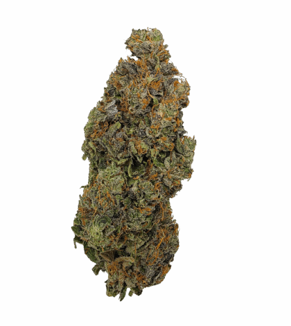 Buy Cannabis and Magic Mushrooms in Canada