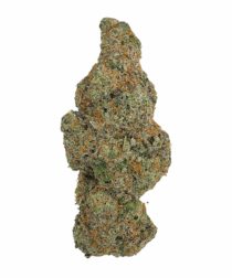 Buy Cannabis and Magic Mushrooms in Canada