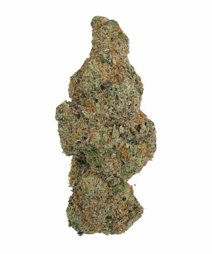 Buy Cannabis and Magic Mushrooms in Canada