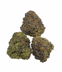 Buy Cannabis and Magic Mushrooms in Canada