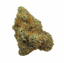 Buy Cannabis and Magic Mushrooms in Canada