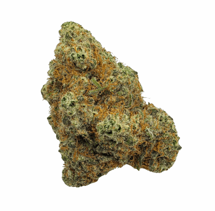 Buy Cannabis and Magic Mushrooms in Canada
