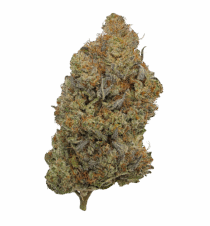 Buy Cannabis and Magic Mushrooms in Canada